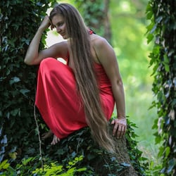 In the Wood