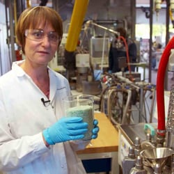 Kunststoffrecycling – Bioplastik wie beim Ersteinsatz