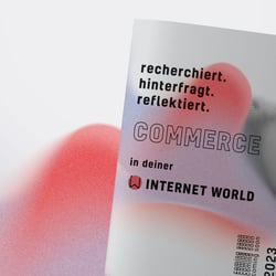 INTERNETWORLD Rebrush