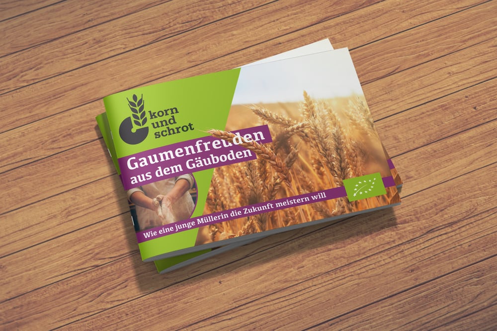 Projektarbeit Abschlussprüfung – Infoheft Cover