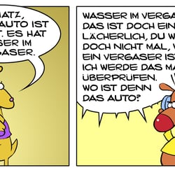 Fachfrau