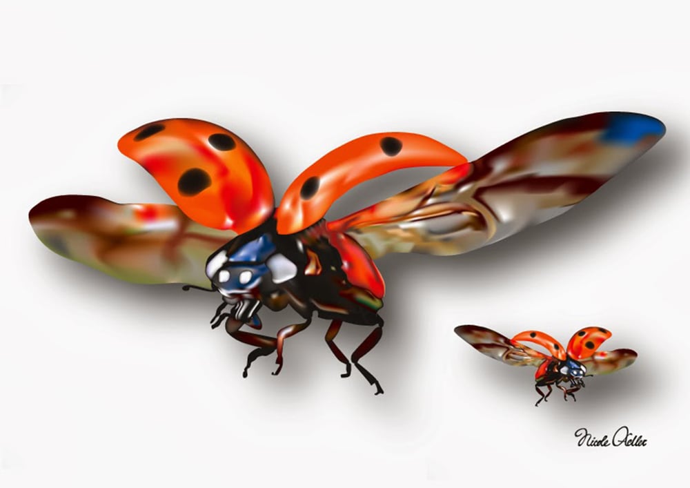 Marienkäfer im Flug