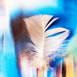 Colored feather