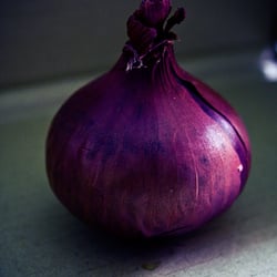last onion standing