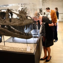 ausstellungsgestaltung-dinosaurier