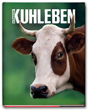 Schweizer KUHLEBEN