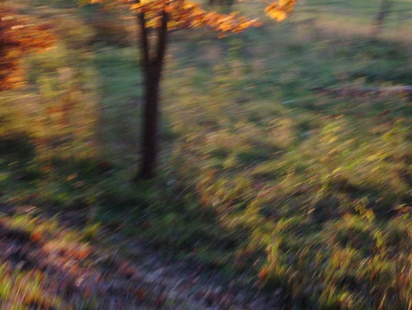 Fahrrad fahren01