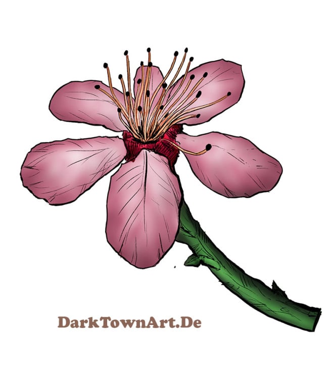 Blume in Farbe, comichafter Stil