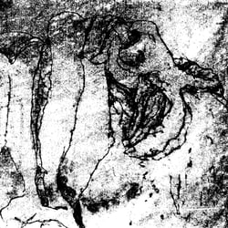 dunkler-Kopf
