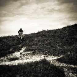 I wandered lonely as a cloud