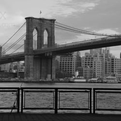 Under the Bridge