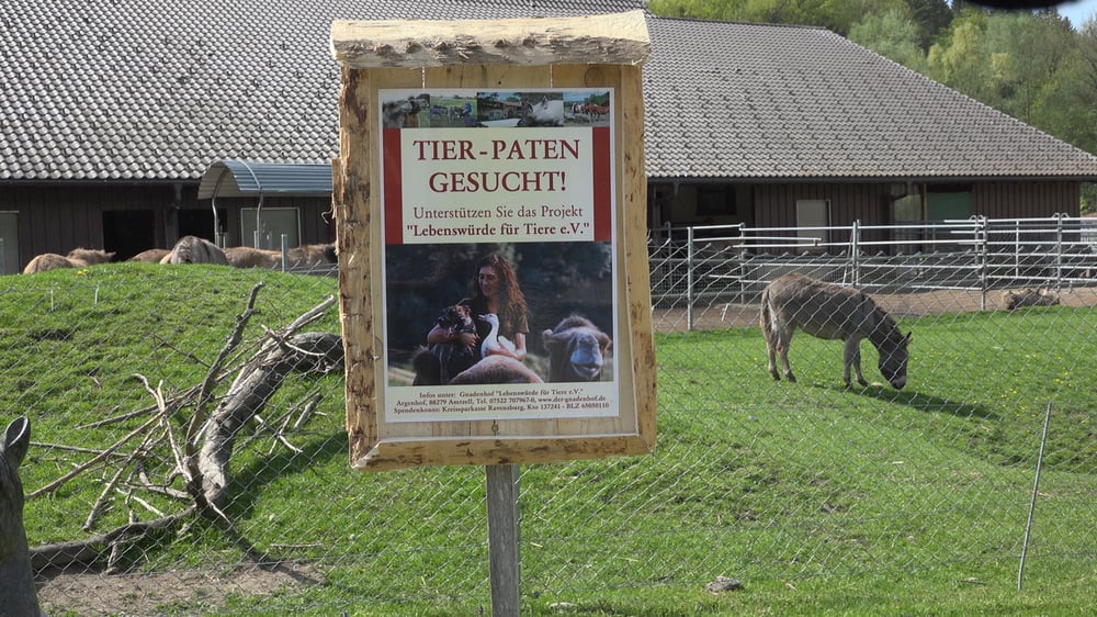Imagefilm – Pilotprojekt zur Förderung von Gnade