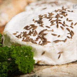 Kümmelkäse