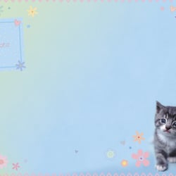 6innenseite-katze-3