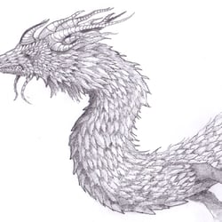 wish me luck dragon A4 Sketch 2016