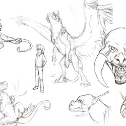 Hion Study Sheet