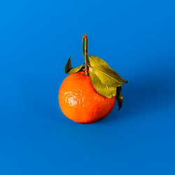 Abschlussarbeit Fotodesign