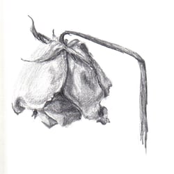 Still 01