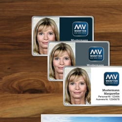 Logo MV WERFTEN Andre Illing Corporate Design