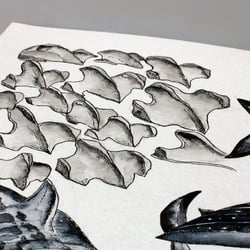 Hai-Illustrationen für das ARTE Magazin