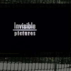 invisiblepictures