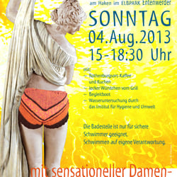 11.Elbebadetag – Plakat