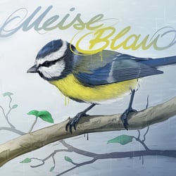 12-Insta-Blaumeise