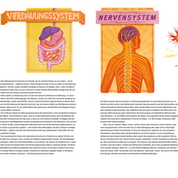 Illustrationen Broschüre „Körper“/Layout: Eileen Frühauf_Stiftung Haus der kleinen Forscher