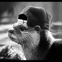 Otter