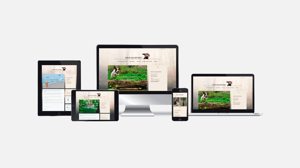 Webseite  „Mein Wildfang“  https://www.mein-wildfang.de/