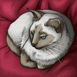 Speedpaint Digital – Siamkatze