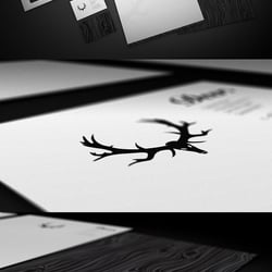 Deer. CI