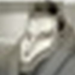 portfolio schaeper-11