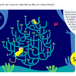 Labyrinthe Spiel