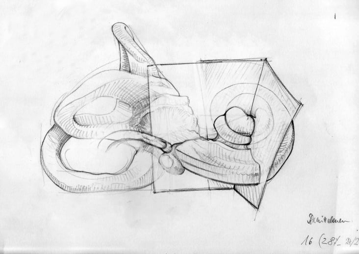 Orientierungsebenen Cochlea