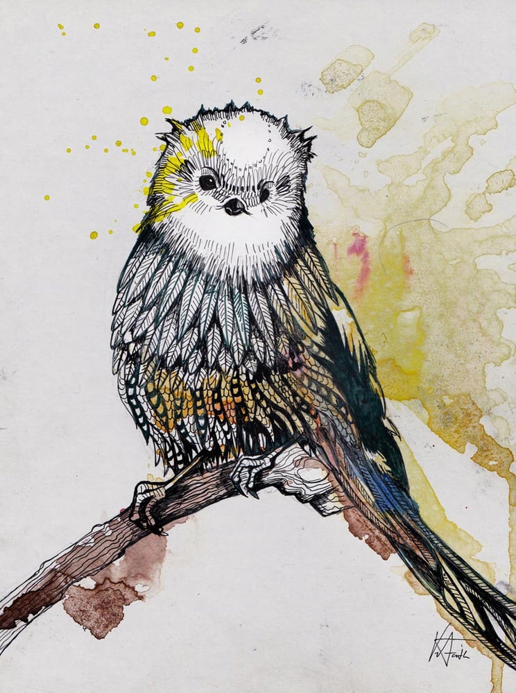 VerenaFaeth Birdy