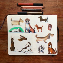 Hunde