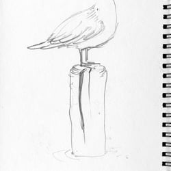 Möwe im Museum