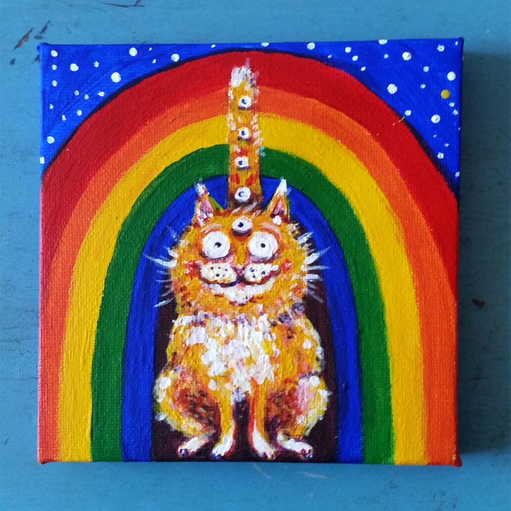 Regenbogenkatze