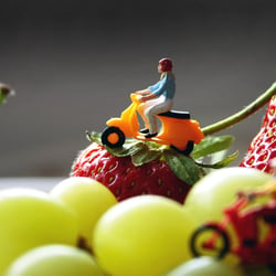 tour de fruits