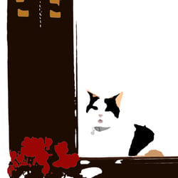 Die Katze von Nebenan