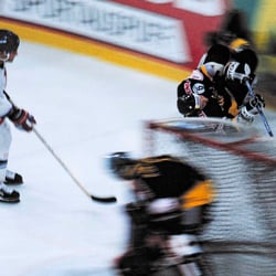 Eishockey, Wien