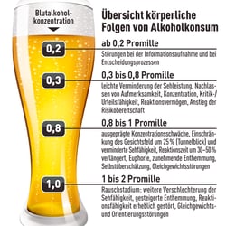 Infografik, AUTO BILD (2009)