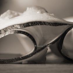 Zuchini Food Foto Übungen März 2014