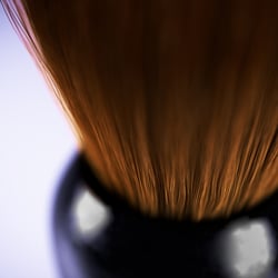 closeup