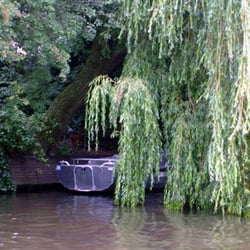 Amsterdam1