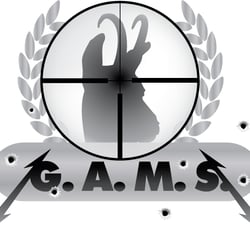 Logo Gams