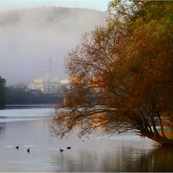 mogens unten am Neckar