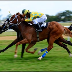 horse race at garrison