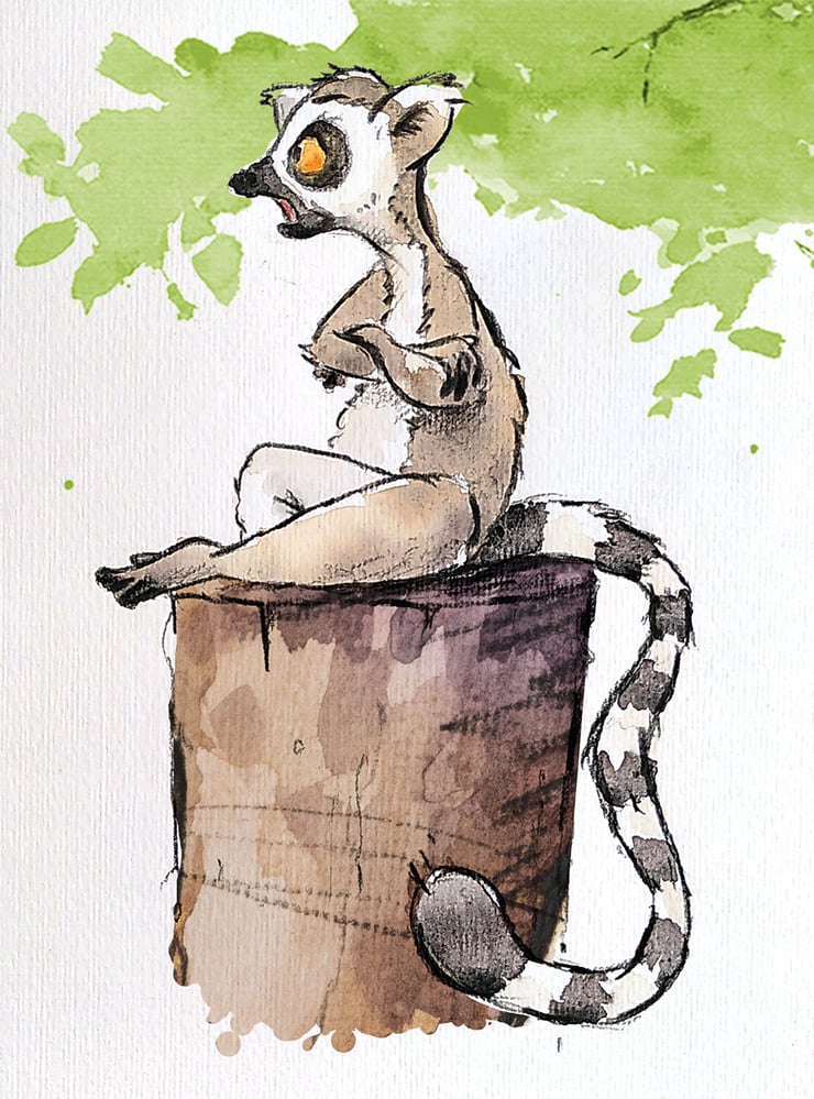 Katta – Kinderbuchillustration Aquarell